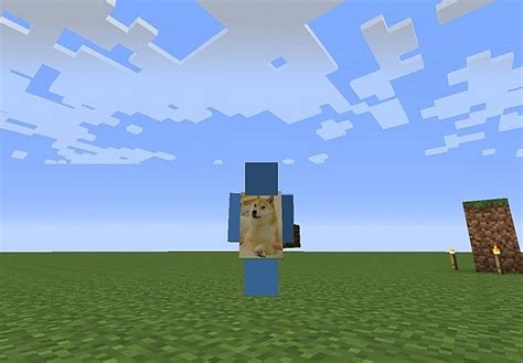 Custom HD Capes & Skins! Minecraft Mod