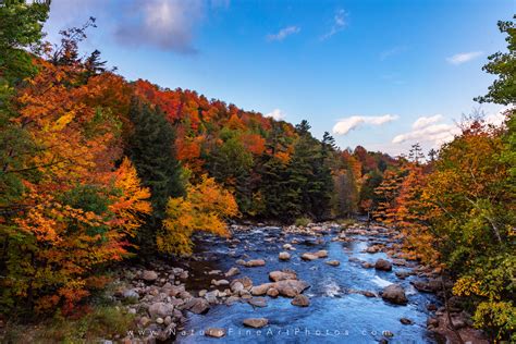 Fall Foliage White Mountains