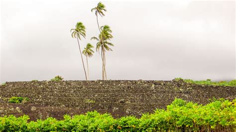 Don't miss Kahanu Garden on Maui - Travel To Paradise