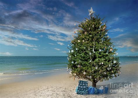 Christmas Tree on Siesta Key Beach, Florida Photograph by Liesl Walsh - Fine Art America