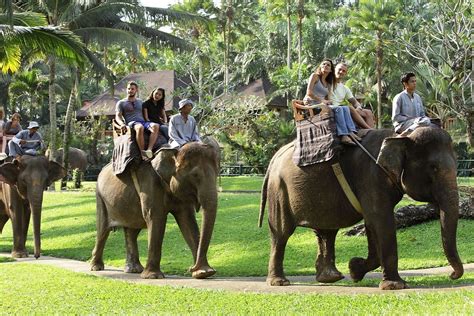 BALI ELEPHANT SAFARI RIDE TOUR | RIDING AN ELEPHANT AT TARO VILLAGE