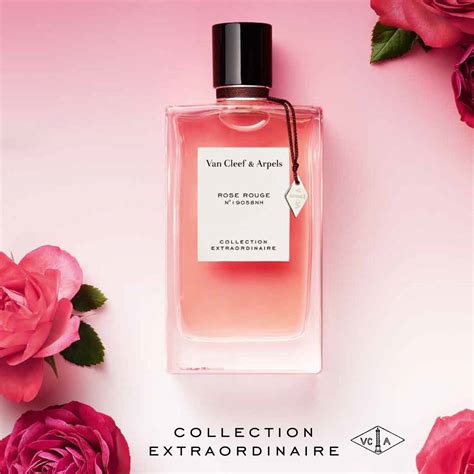 Van Cleef Rose Rouge Scent Molecule Concentrated Premium Perfume Oil ...