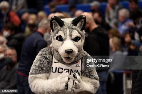 Connecticut Huskies Mascot Photos and Premium High Res Pictures - Getty ...