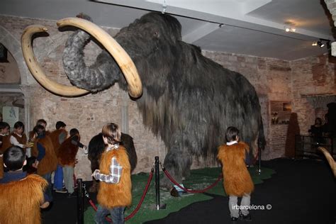 Barcelona Mammoth Museum - Ticket price and schedule | irBarcelona