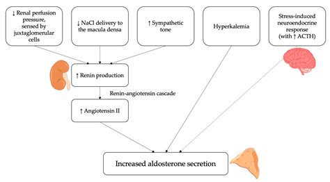 IJMS | Free Full-Text | Primary Aldosteronism and Resistant Hypertension: A Pathophysiological ...