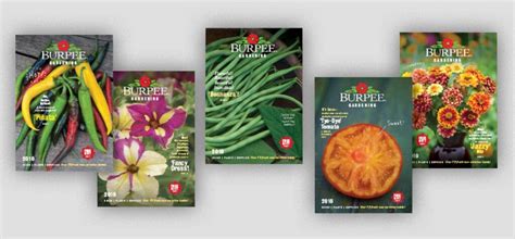 Burpee Seeds & Plants : Alexander Isley Inc. Designers