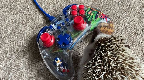 PDP REALMz Sonic wired controller for Nintendo Switch review - not just ...