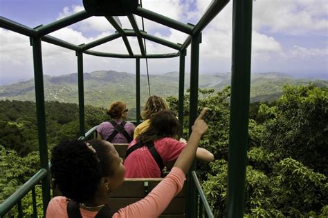 Aerial Tram adventures ST-Lucia | Aerial Trams | Rainforest Adventures