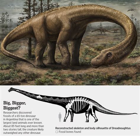 Species New to Science: [Paleontology • 2014] Dreadnoughtus schrani • A Gigantic, Exceptionally ...