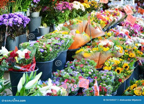 Flower Market with Various Multicolored Fresh Flowers Stock Image - Image of bunch, price: 56104537