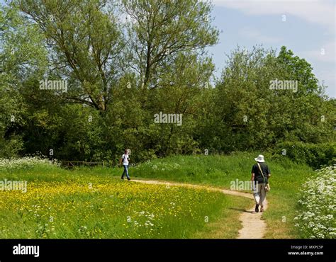 Rutland Water nature reserve, Rutland, England UK Stock Photo - Alamy