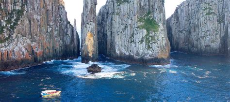 Tasman Island Cruise Day Tour from Hobart