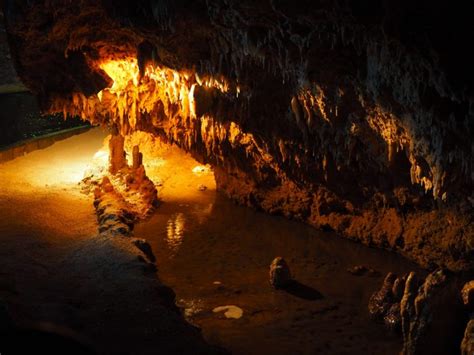 The Top 3 Caves in Barbados that are worth exploring!