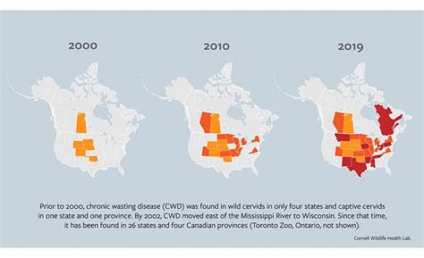 Chronic wasting disease: what hunters and processors need to know and ...