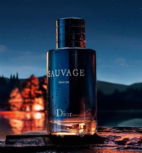 Sauvage Parfum: a sumptuous, wild trail | DIOR | Perfume, Eau de ...