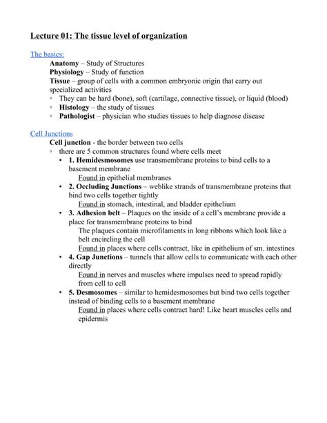 01 The Tissue Level of Organization (2)