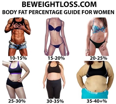 Body Fat Percentage Chart For Women And Men Examples