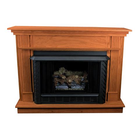 Vent Free Propane Gas Fireplace | Wayfair.ca