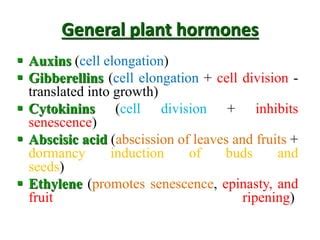 Plant Growth Hormones: Introduction, Types And Functions, 40% OFF