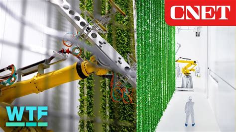 Inside a New Vertical Farm Full of Robots - Irizflick Media