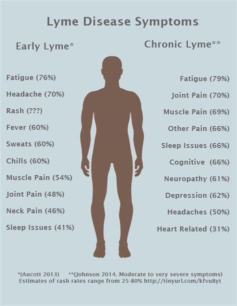 Chronic Lyme Disease | LymeDisease.org