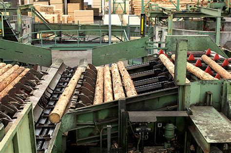 230+ Timber Mill Conveyor Belt Lumber Industry Stock Photos, Pictures ...