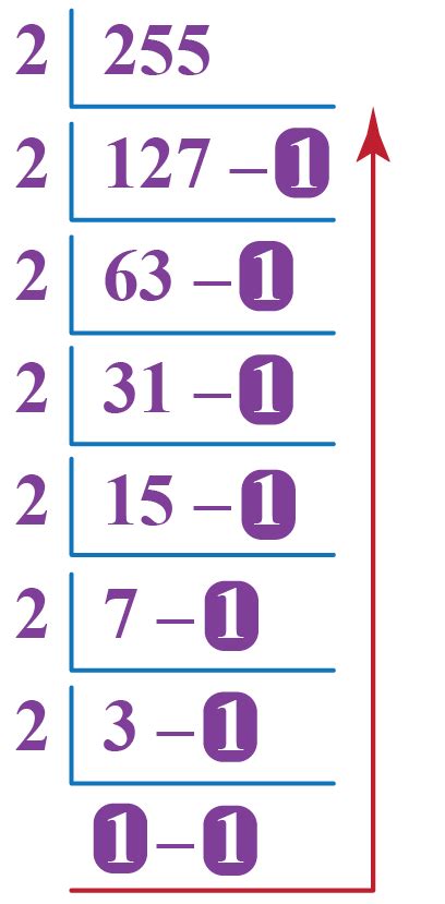 255 In Binary Decimal To Binary Conversion Solved Examples Cuemath | Images and Photos finder