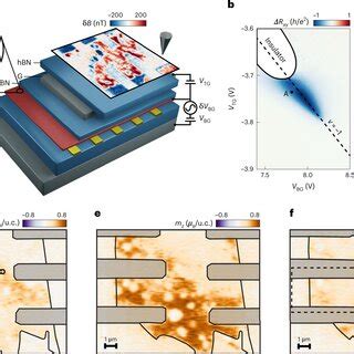 Spin Hall effect a,b, Schematic of the intrinsic spin Hall torque ...