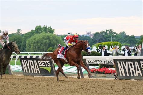 How Fast Can a Horse Run? Incredible Horse Racing Records!