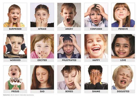 Emotions Art & Language Chart Pack for young children