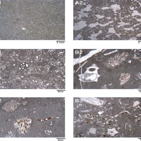 A1: Unfossiliferous mudstone, A2: Mudstone with fenestral fabric, B1 ...