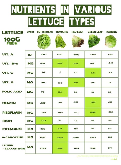 Pin by Elżbieta Talik on Food | Types of lettuce, Lettuce nutrition, Lettuce benefits