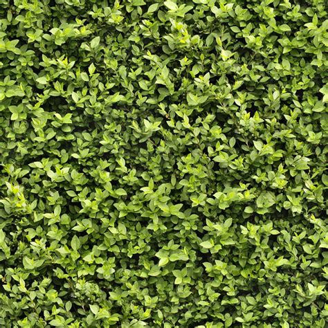 Seamless Hedge Texture by hhh316 on DeviantArt