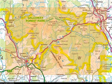 Galloway Forest Park | Scottish Landscape