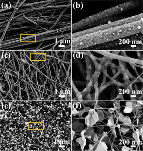 The low-magnification SEM images and the corresponding... | Download ...