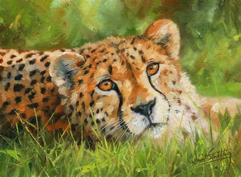 Cheetah Painting by David Stribbling - Fine Art America