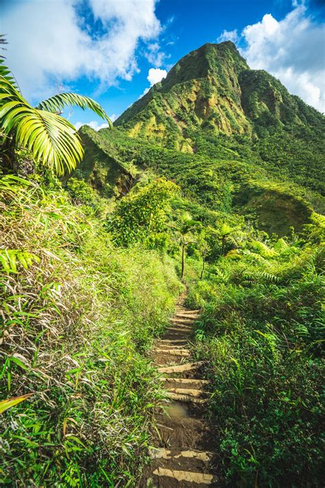 Dominica: Plate tectonic boundaries