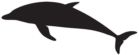 Dolphin clipart free download on WebStockReview