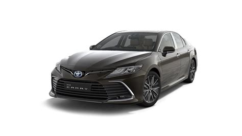 2018 Toyota Camry Interior Color Options | Two Birds Home