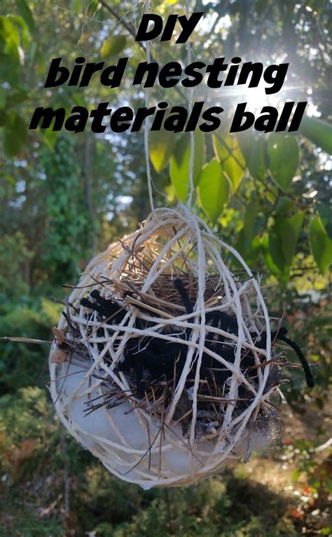 Supply the birds in your area with some nesting materials. You can encourage the birds to build ...