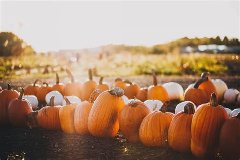 Fall Activities with the San Joaquins - Amtrak San Joaquins