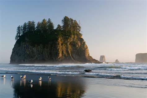 7 Phenomenal National Parks in the Pacific Northwest