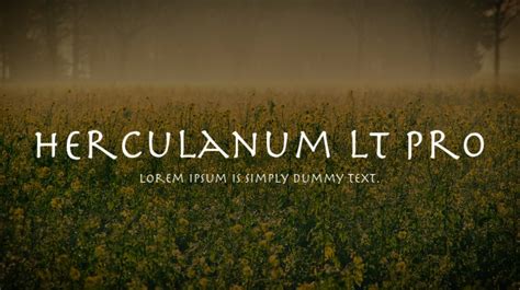 Herculanum LT Pro Font : Download Free for Desktop & Webfont