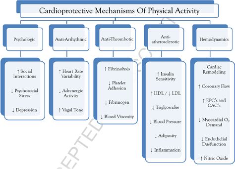 Figure 1 from Impact of cardiac rehabilitation and exercise training programs in coronary heart ...