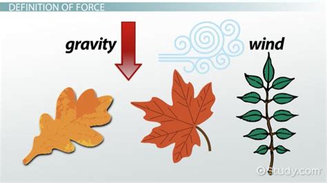 Force in Physics | Definition, Equation & Types - Lesson | Study.com