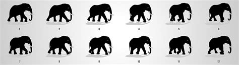 Elephant Run Cycle Animation Sequence Stock Illustration - Download Image Now - Elephant ...