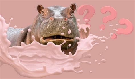 Is Hippo Milk Really Pink? - Scientific Facts