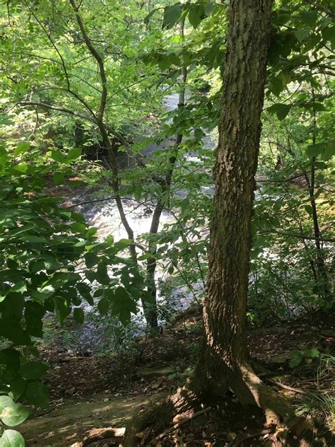 Photos of Minnehaha Creek Trail - Minnesota | AllTrails