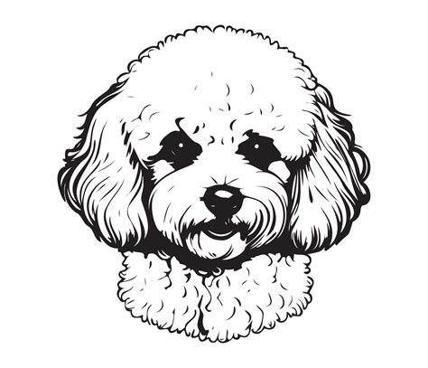 Bichon Frise Face, Silhouette Dog Face, black and white Bichon Frise ...