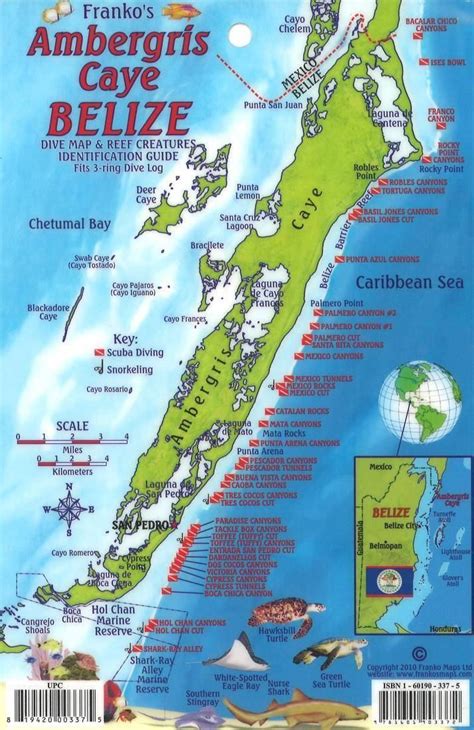 Caribbean Fish Card, Ambergris Caye, Belize 2010 by Frankos Maps Ltd | Ambergris caye, Belize ...